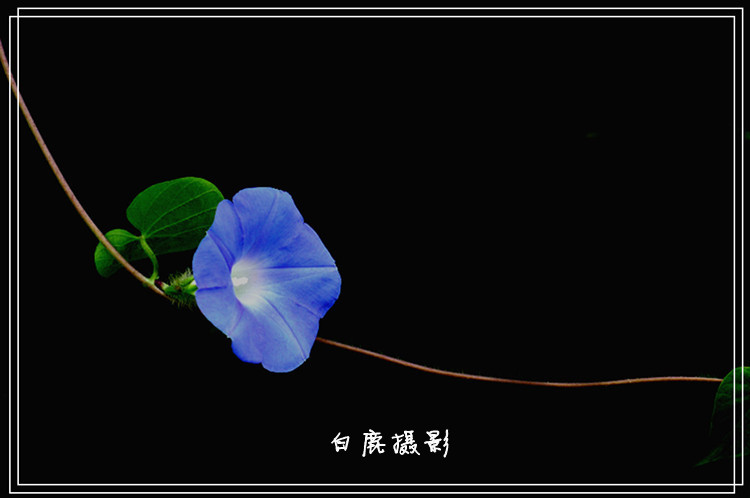 P1060239_副本.jpg