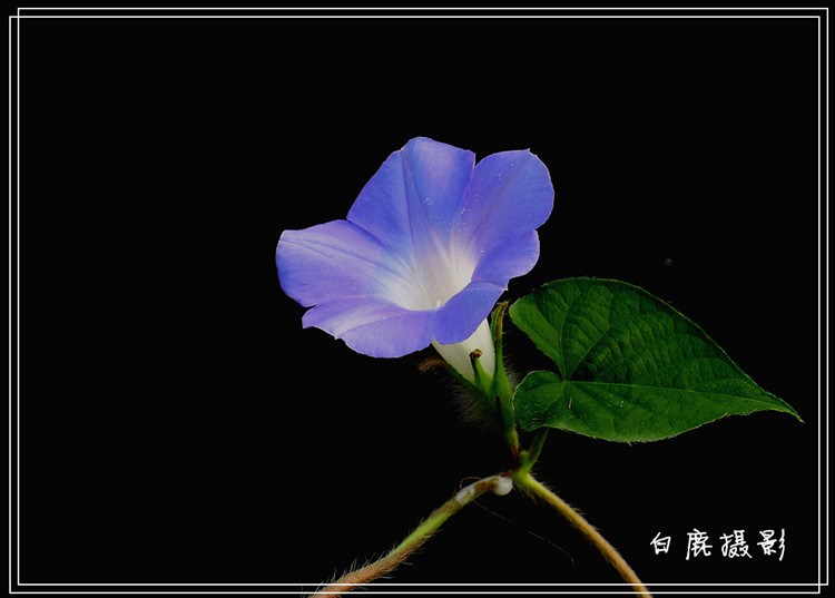 P1220925_副本.jpg