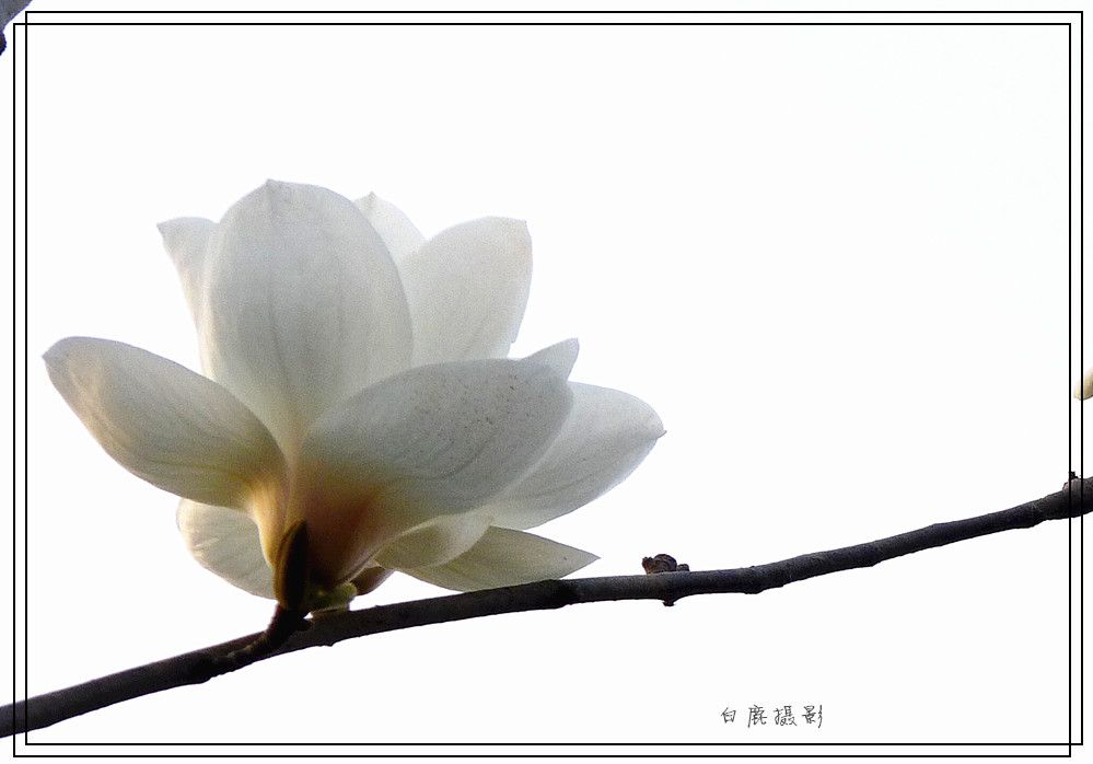 P1140359_副本.jpg