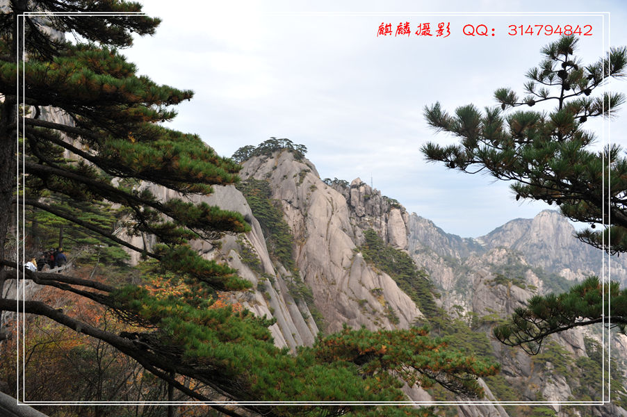 黄山游 215_副本.jpg