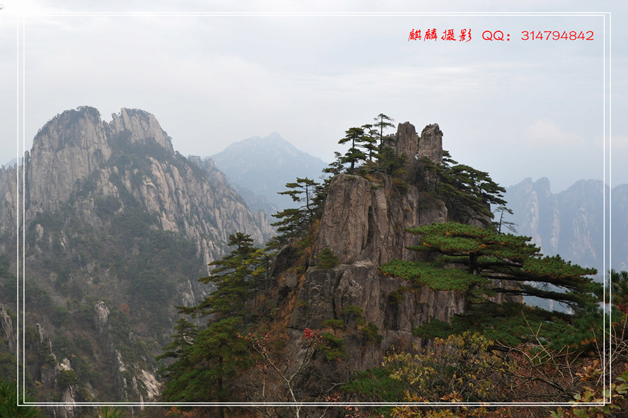 黄山游 352_副本.jpg