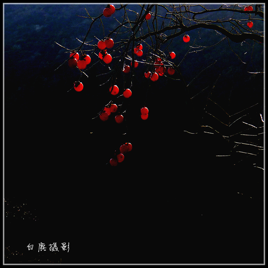 P1270780_副本.jpg