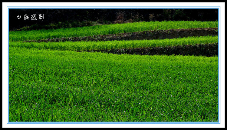 P1160845_副本.jpg