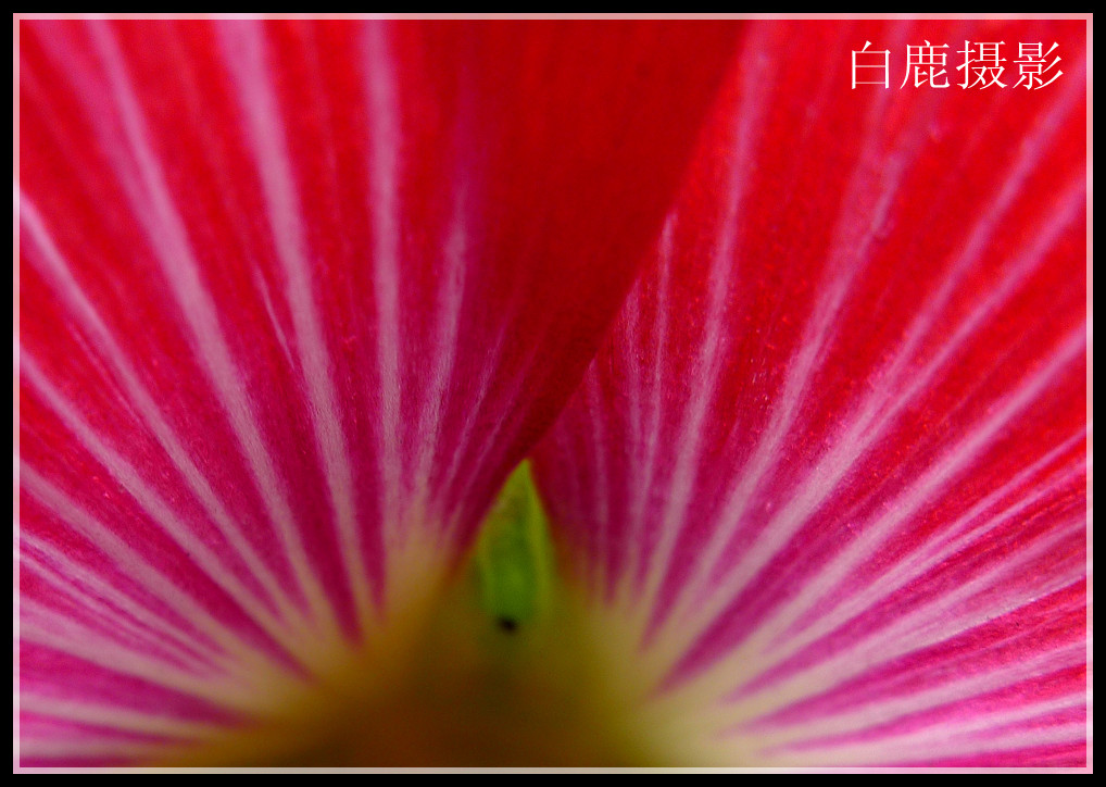 P1180126_副本_副本.jpg