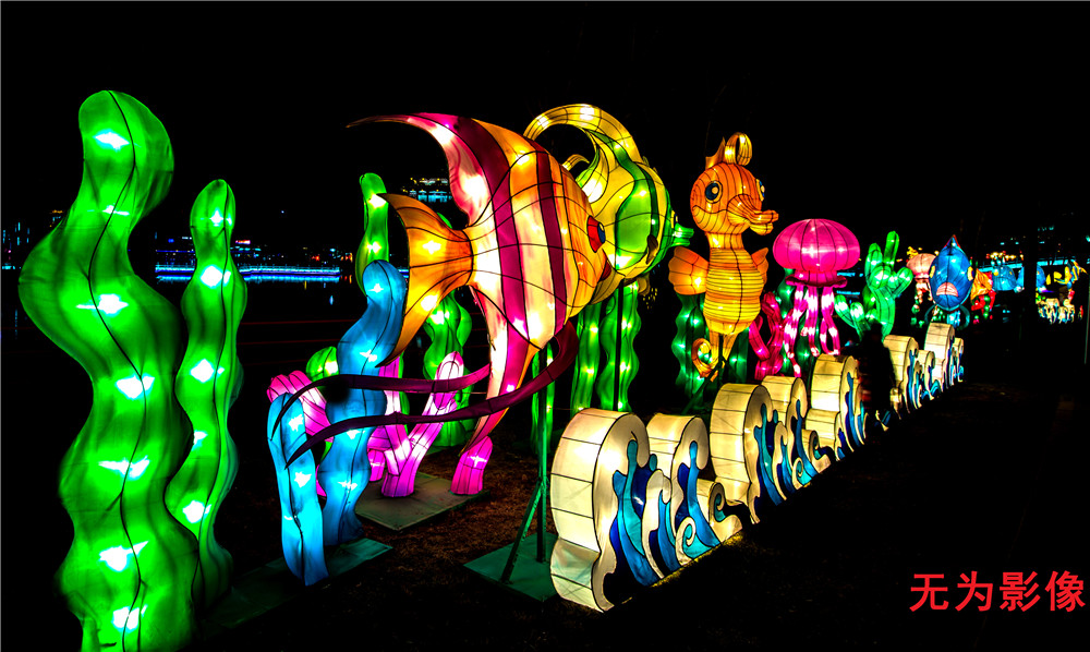 2014年大唐芙蓉园新春灯会 (07).jpg