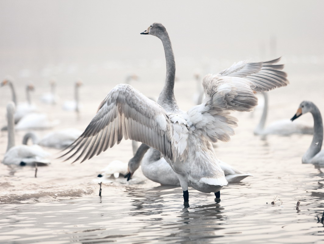 IMG_6655_调整大小.jpg