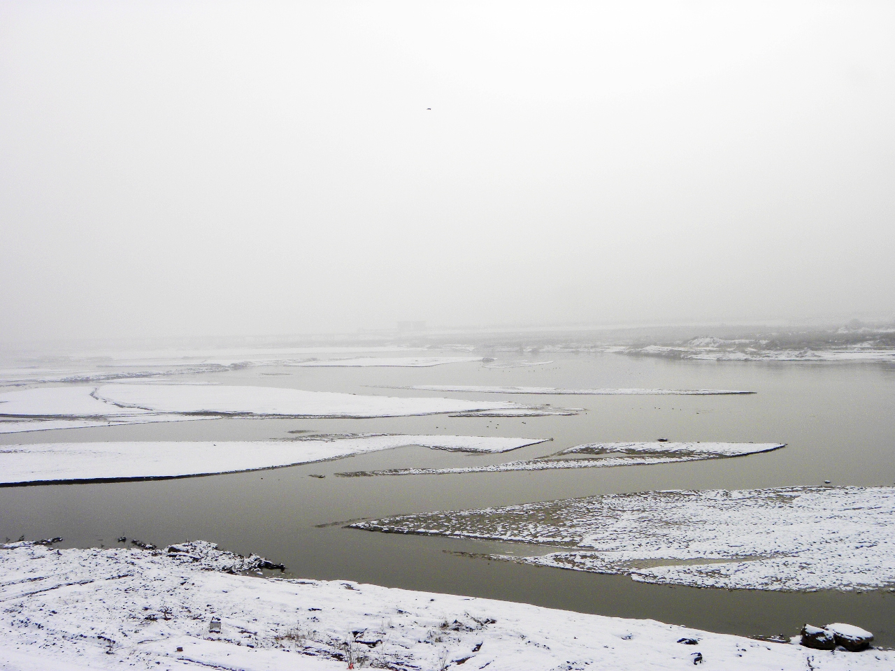 DSCN4743.JPG