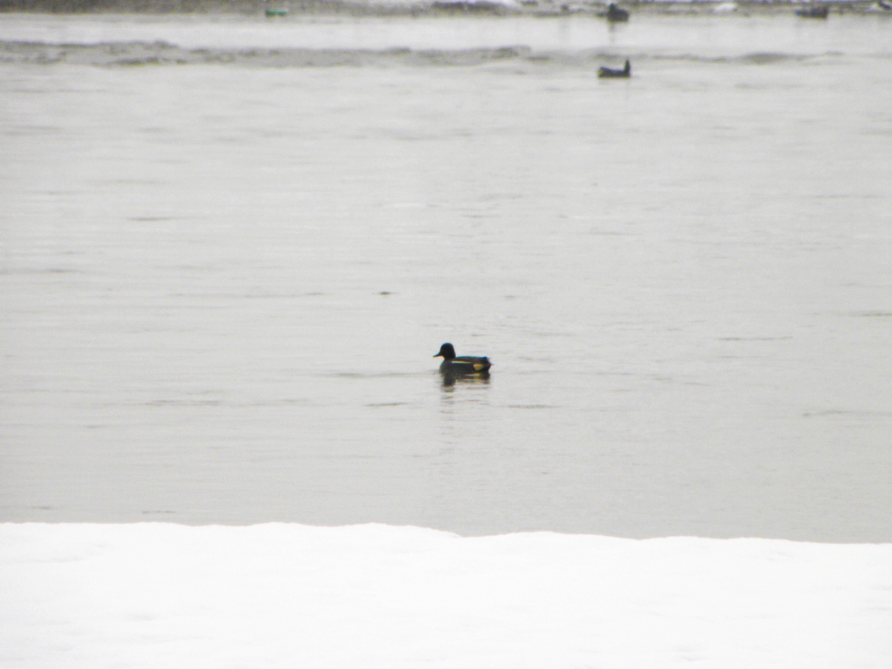 DSCN4639.JPG