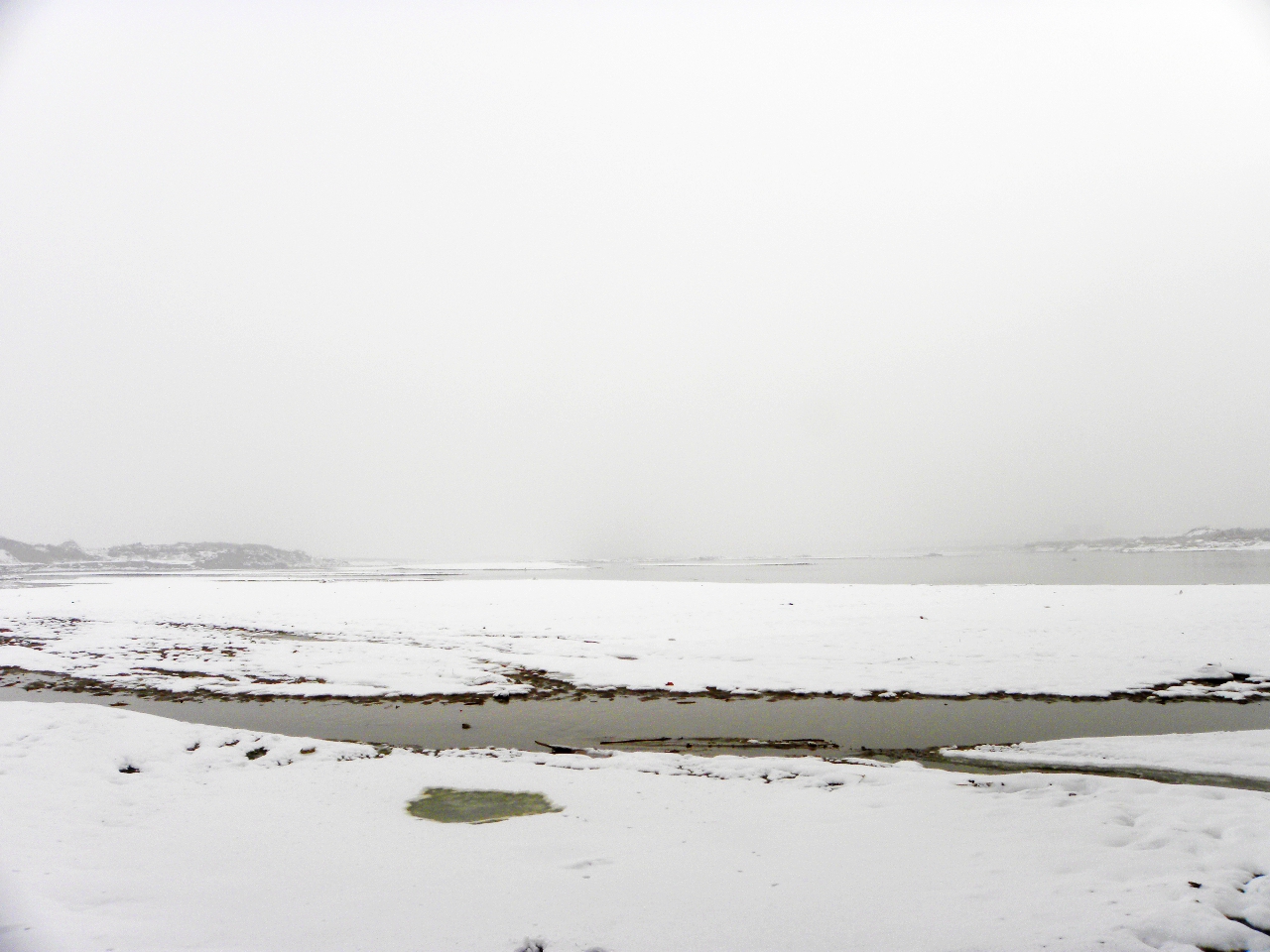 DSCN4671.JPG