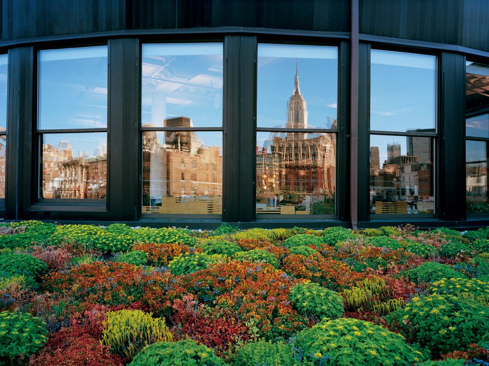 rooftop-garden-manhattan-cook-jenshel_69853_990x742.jpg rooftop-garden-manhattan-cook-jenshel_69853_990x742.jpg