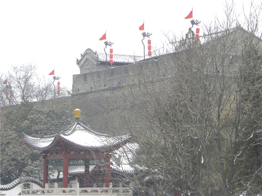 DSCN4990.jpg