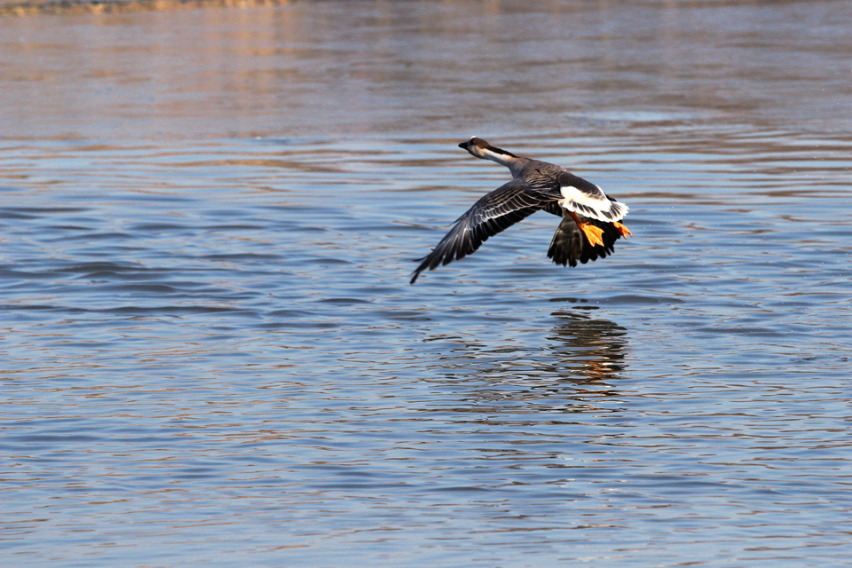 IMG_5322_副本.jpg