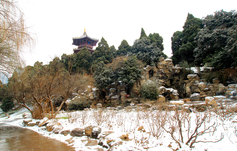 _MG_7642.jpg