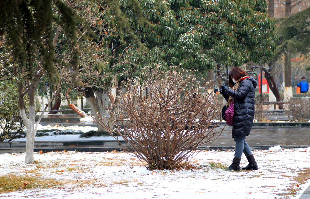 _MG_7789.jpg