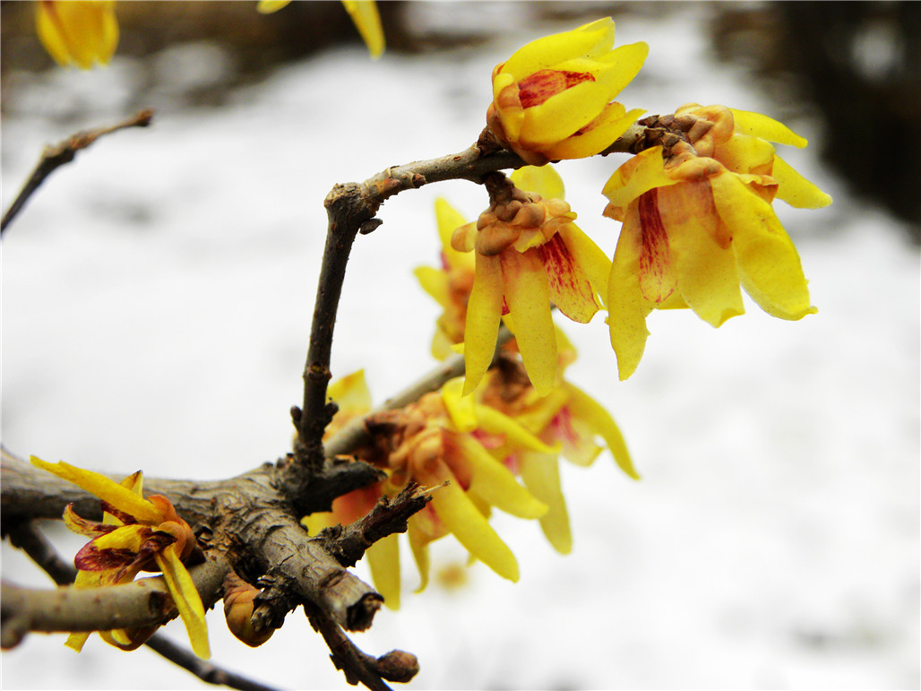 DSCN5904.JPG