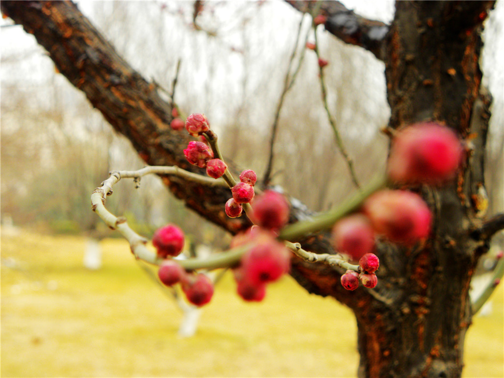 DSCN6009.JPG