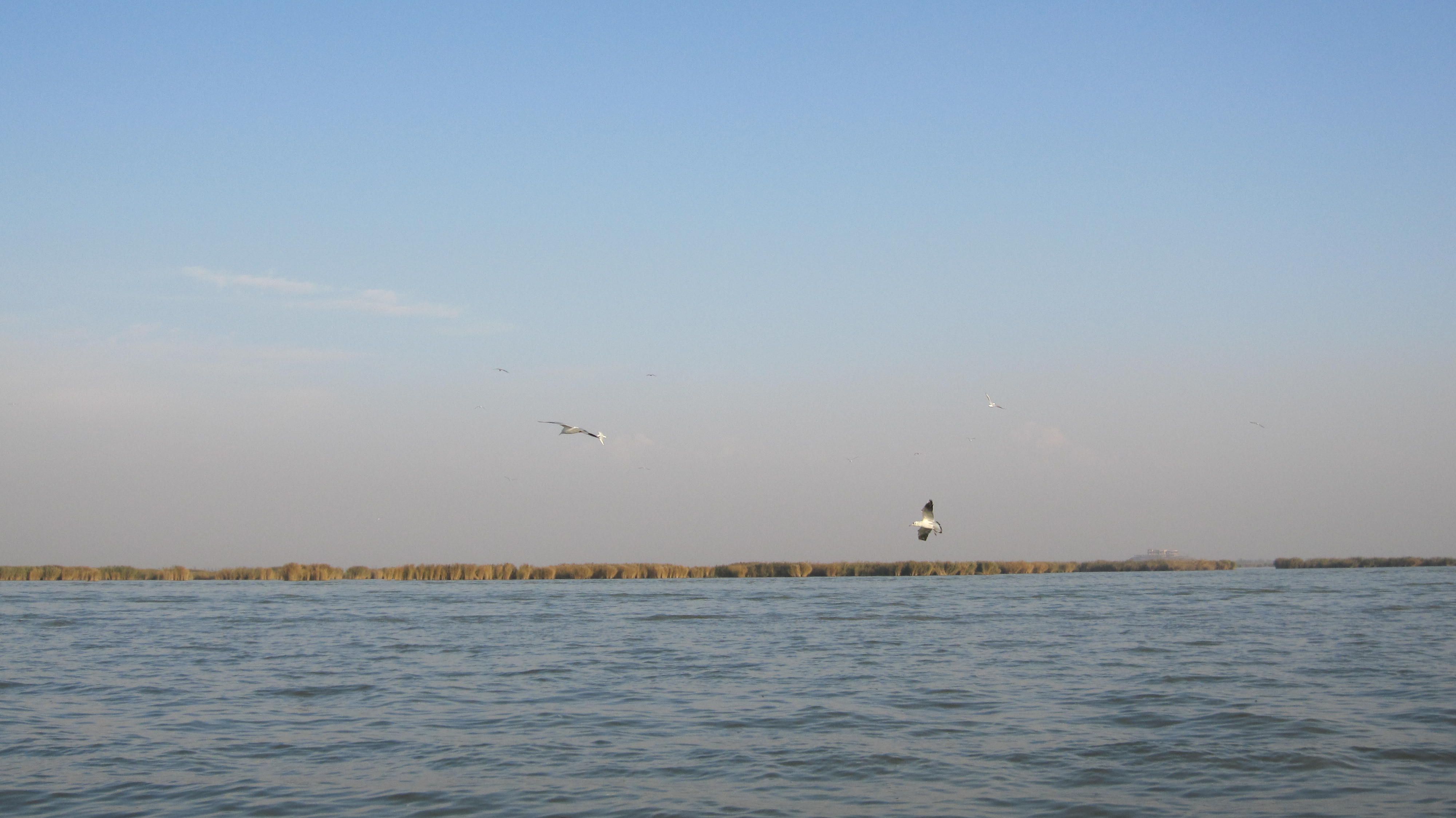 沙湖