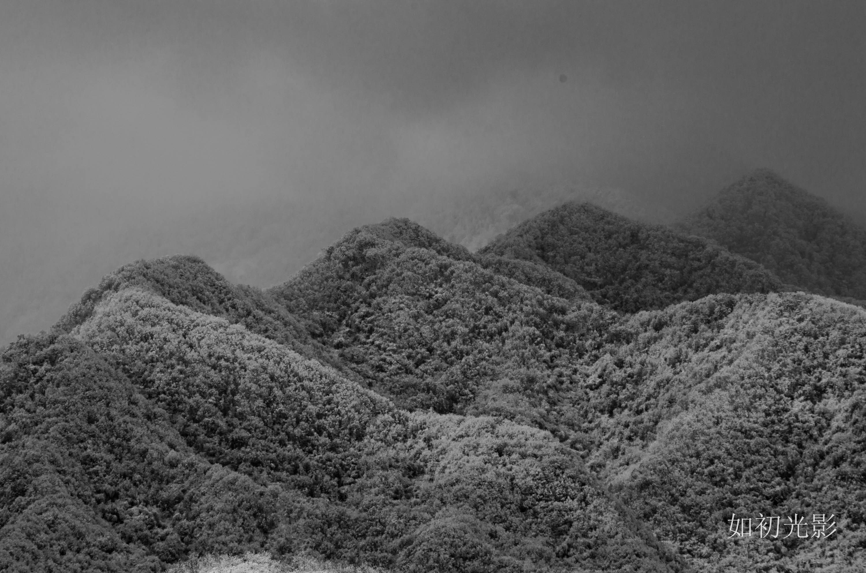 DSC_1126.jpg