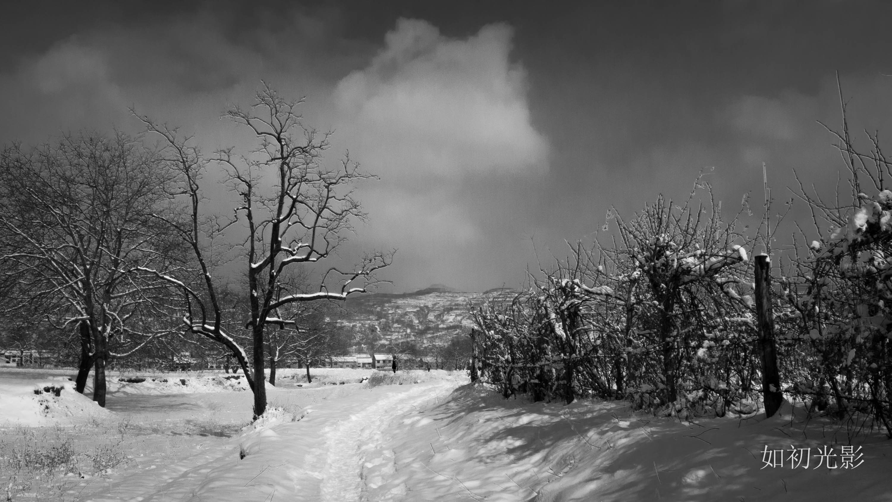 P1020300.jpg