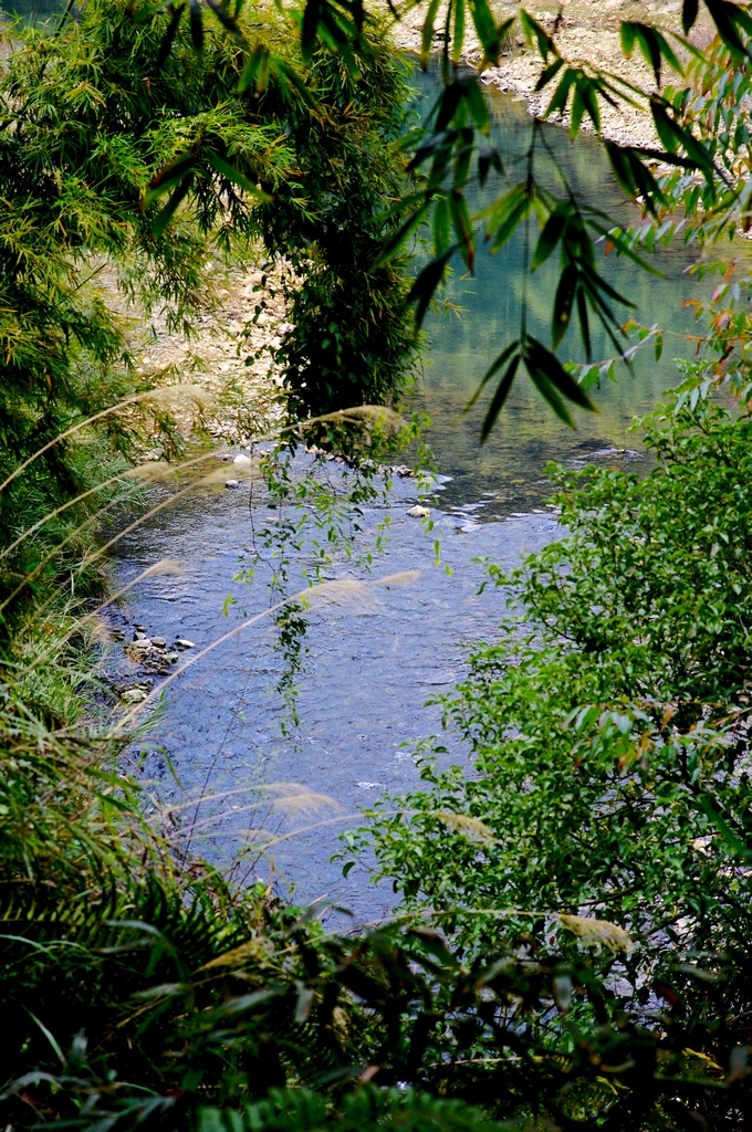 IMGP0173.jpg