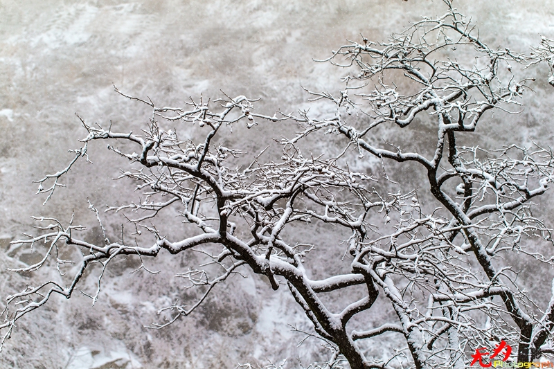 银装素裹写意秦岭 (05).jpg