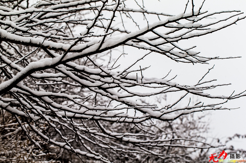 银装素裹写意秦岭 (22).jpg