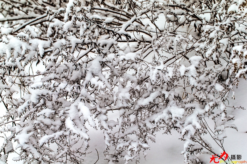 银装素裹写意秦岭 (30).jpg