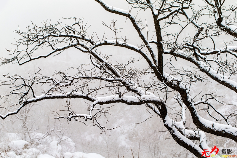 银装素裹写意秦岭 (40).jpg