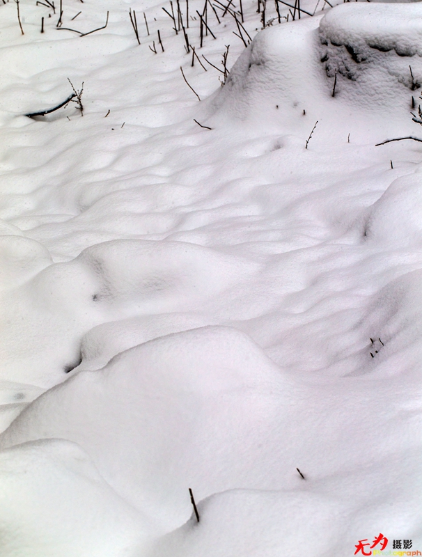 银装素裹写意秦岭 (34).jpg