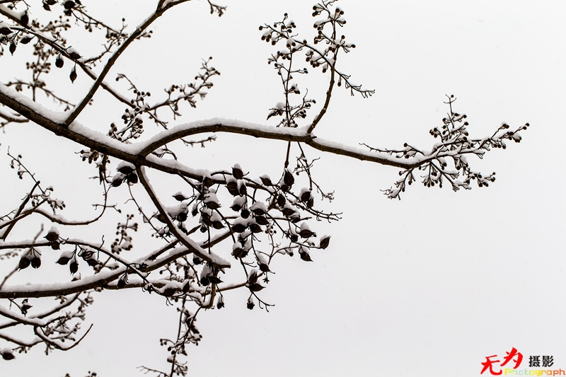 银装素裹写意秦岭 (35).jpg