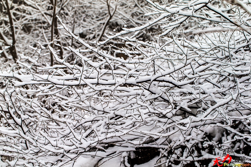 银装素裹写意秦岭 (63).jpg