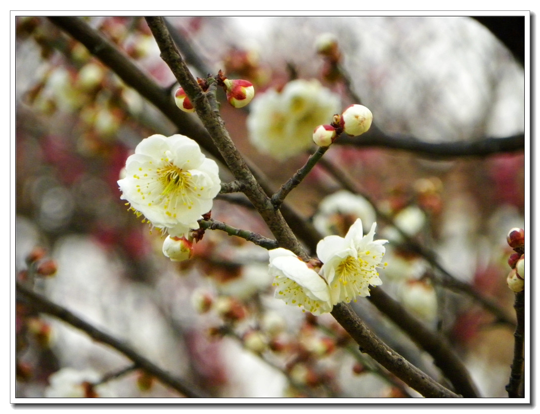 DSCN8614.JPG