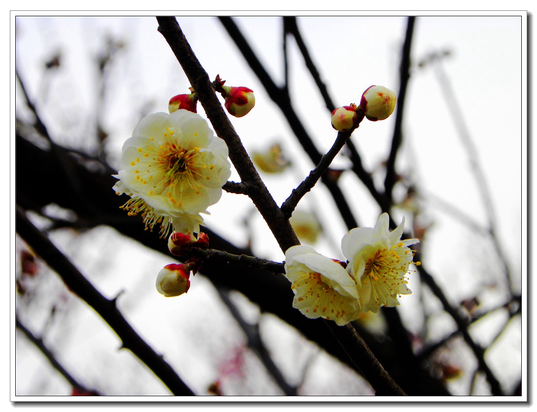 DSCN8622.JPG