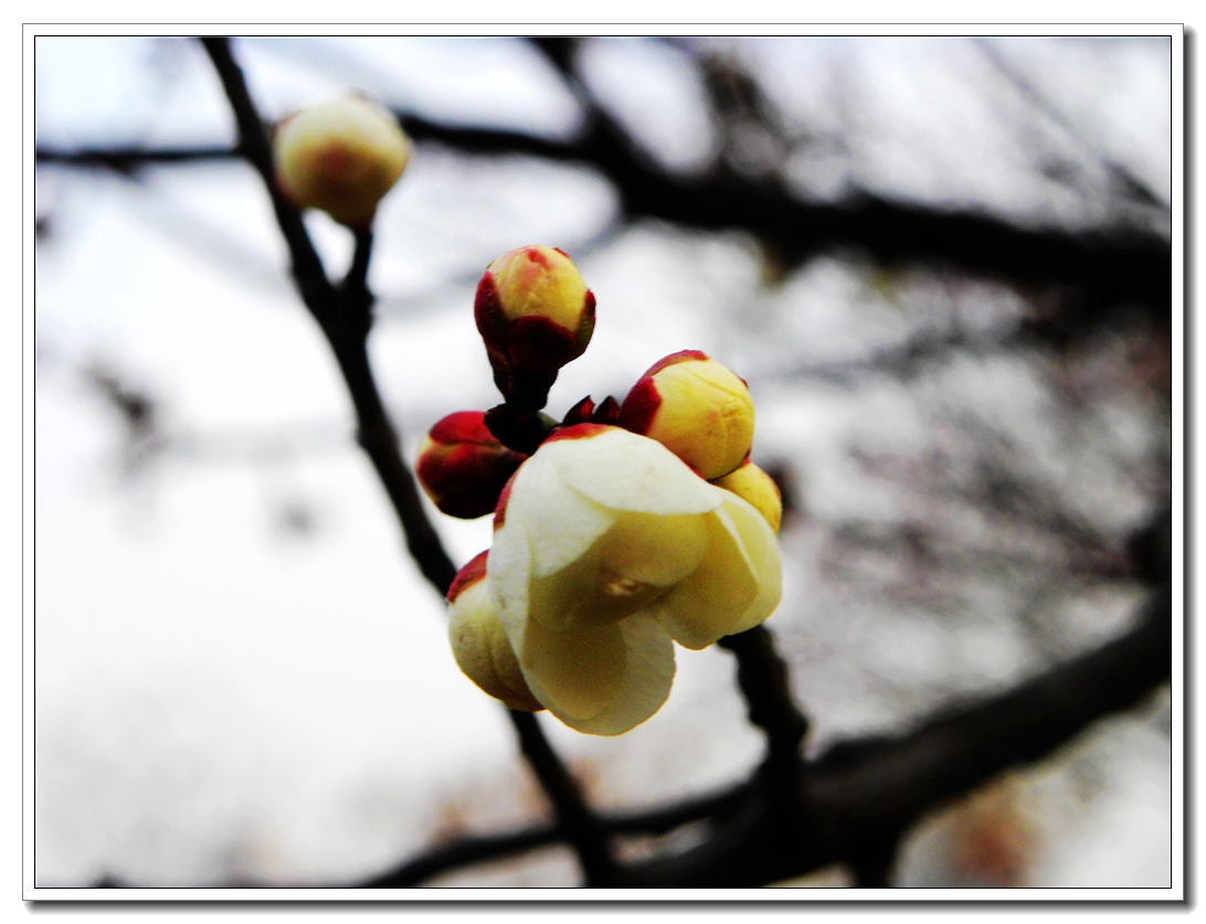 DSCN8629.JPG