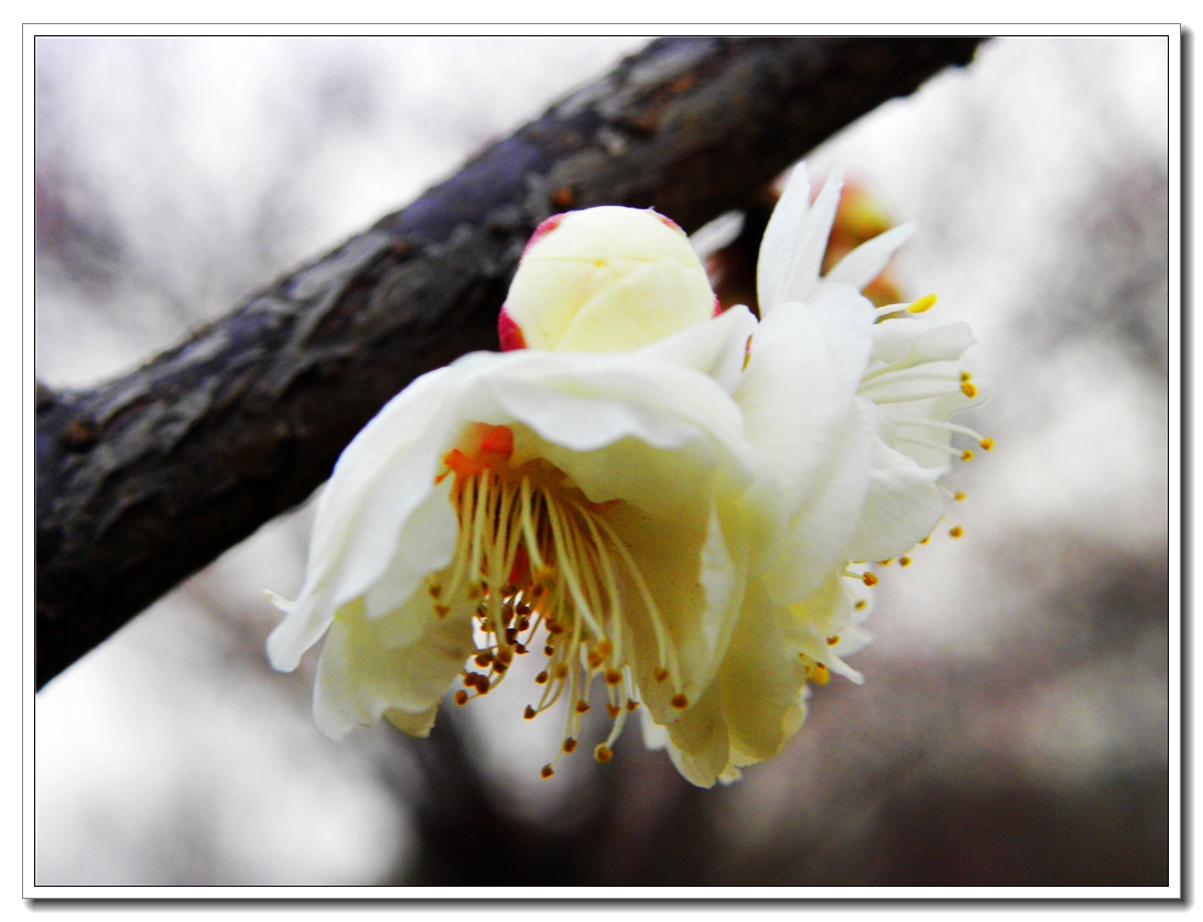 DSCN8639.JPG