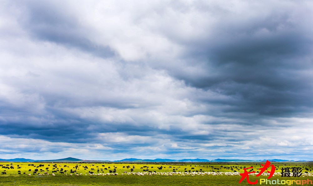 诺尔盖草原 (29).jpg