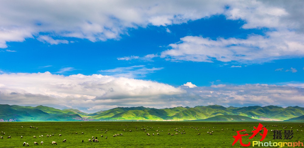 诺尔盖草原 (48).jpg