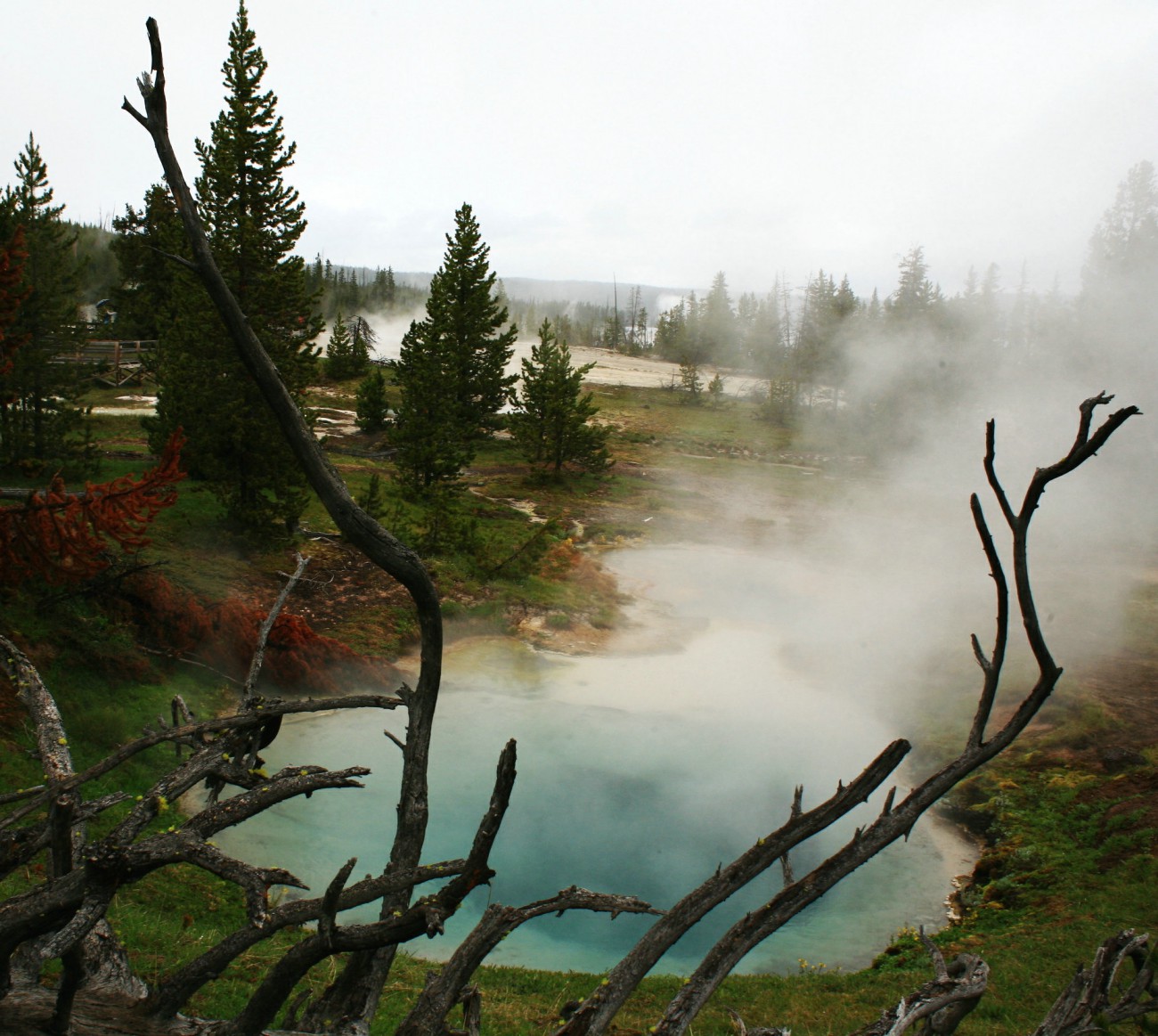 IMG_1135.jpg