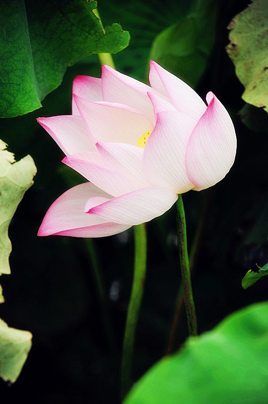DSC_0167_副本.jpg