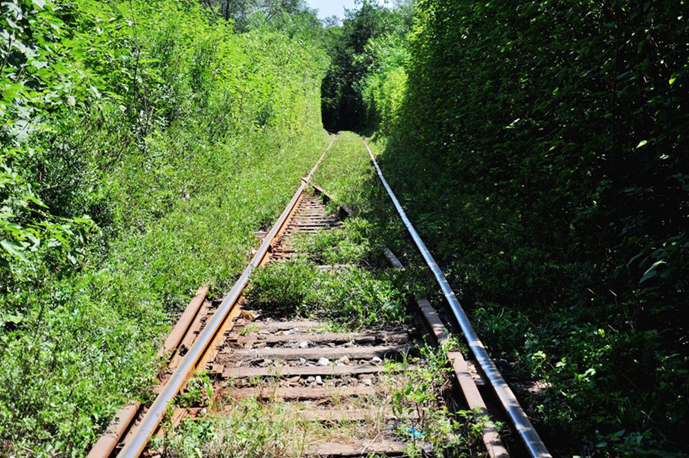 DSC_0393.jpg