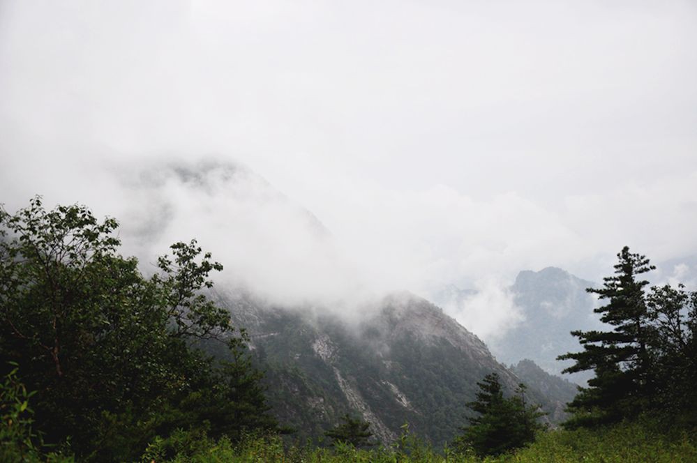 DSC_0177.jpg