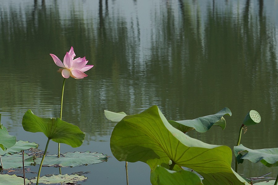 DSC02301选压.jpg
