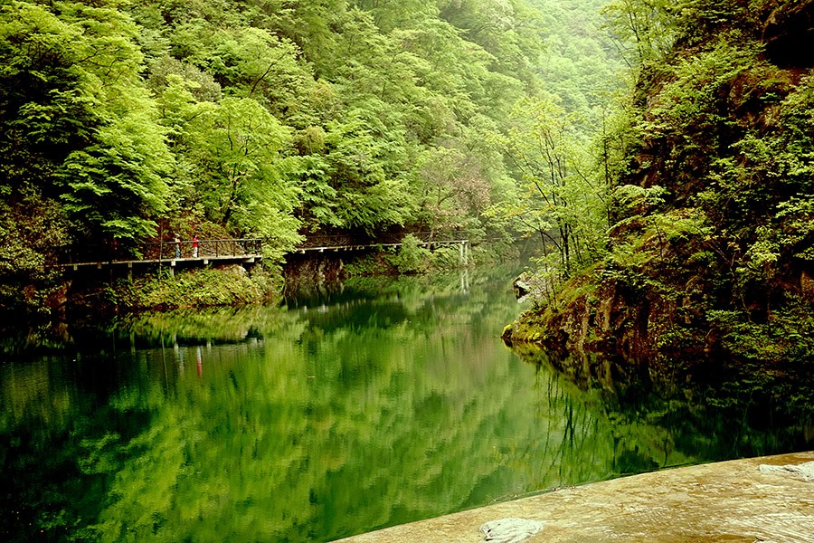 DSC03654_副本.jpg