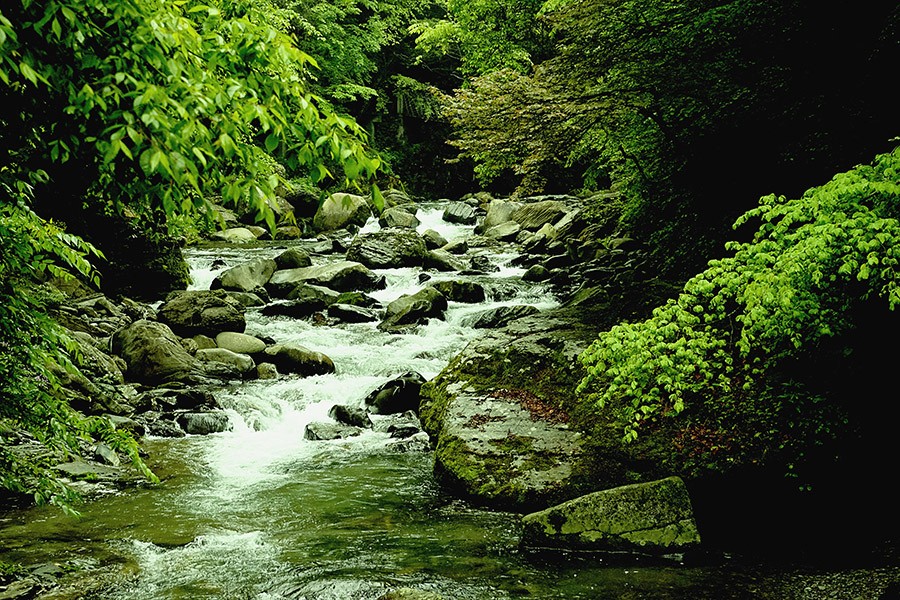DSC03686_副本.jpg