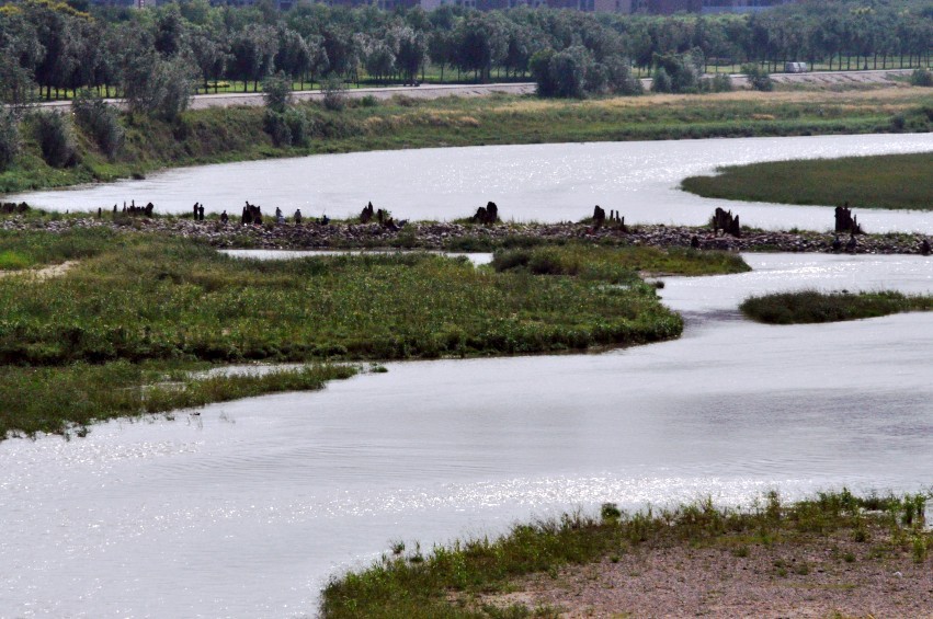 DSC_0059_conew1.jpg