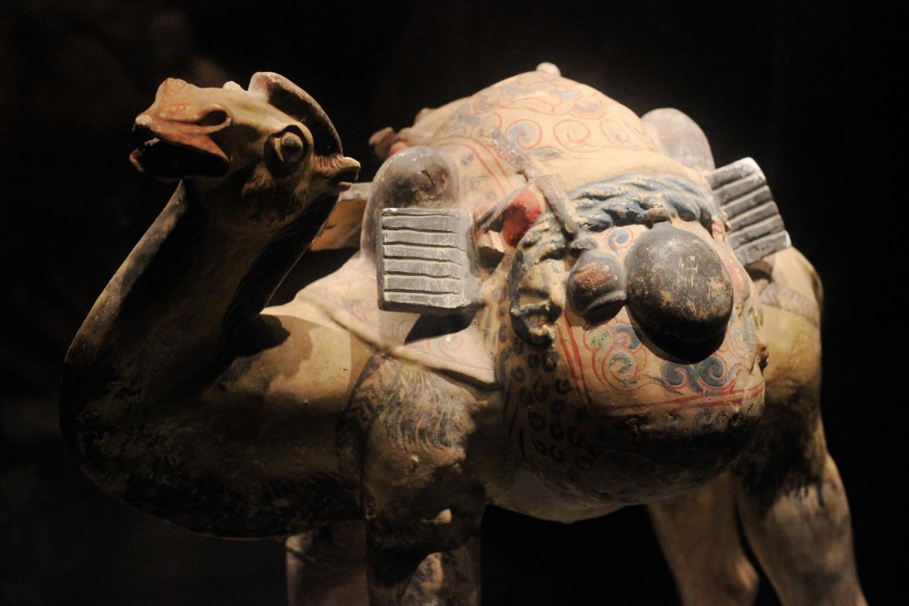 哥们你背得是历史么