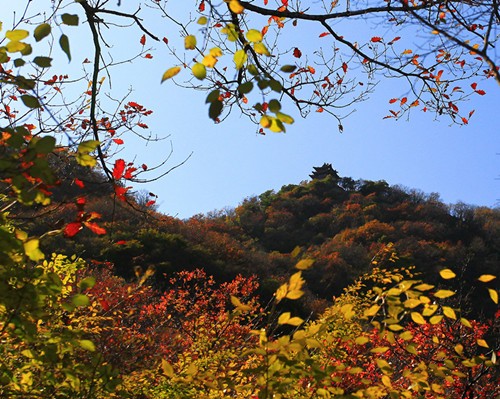 _MG_7088-2_副本.jpg
