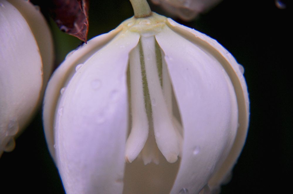 DSC_0443.jpg