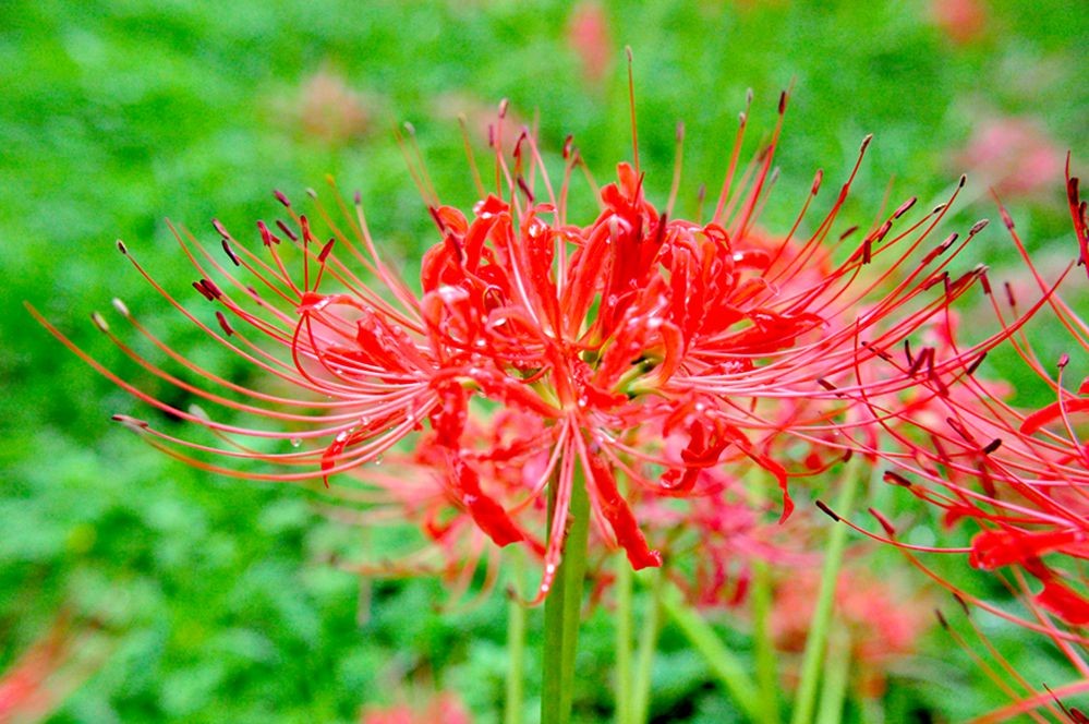 DSC_0413.jpg