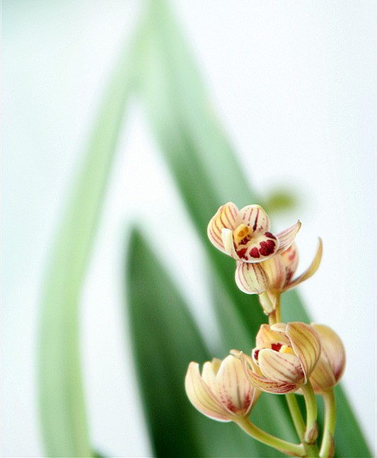 照片 091_副本.jpg